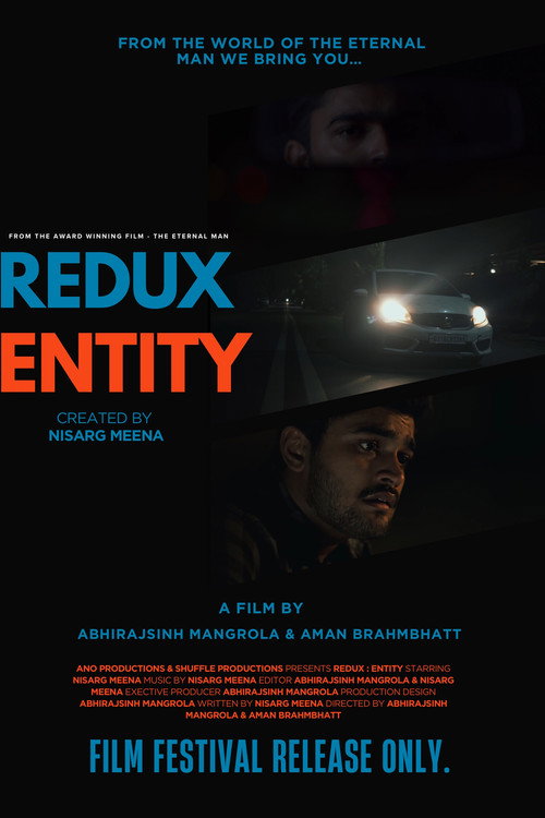Redux entity