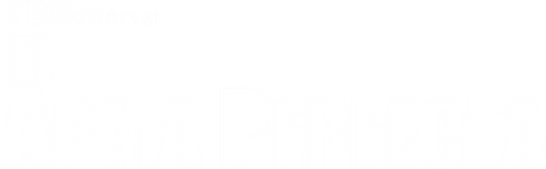 El Arma Perfecta