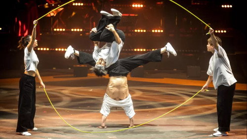 Le Cirque Phénix - 25 ans