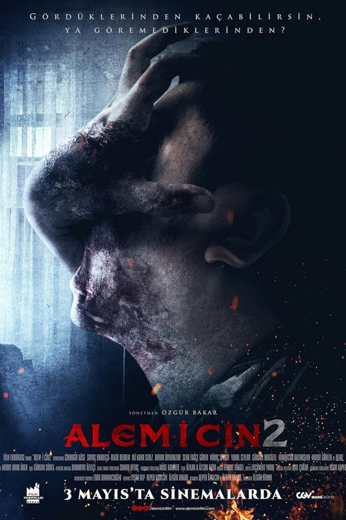 Alem-i Cin 2 poster