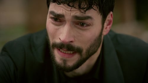 Hercai: 1×3