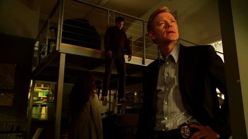 CSI: Miami: 2×11