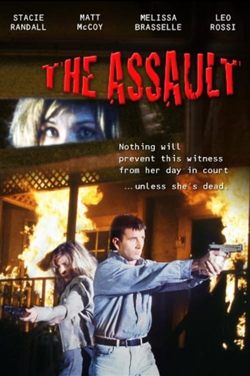 The Assault poster