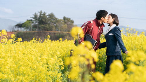 When Life Gives You Tangerines backdrop 1