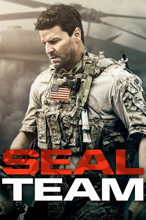 Grootschalige poster van Seal Team