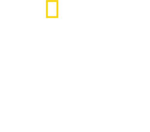 The Real Right Stuff