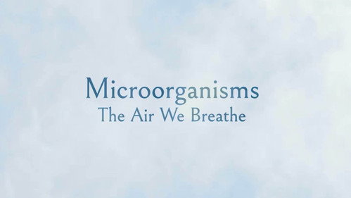 Microorganisms: The Air We Breathe