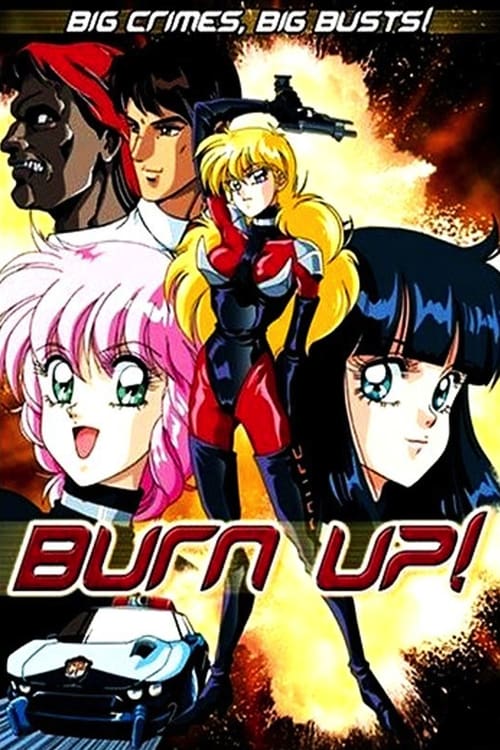 Burn Up 1991