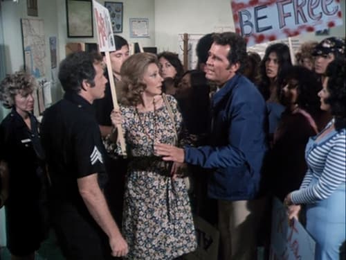 Poster della serie The Rockford Files