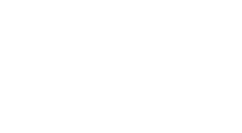Altered Carbon