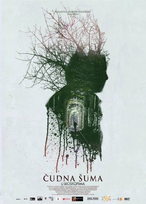 Watch Streaming Watch Streaming Strange Forest (2014) Streaming Online Movies Without Downloading Putlockers Full Hd (2014) Movies Full HD 1080p Without Downloading Streaming Online