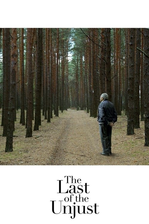 Le Dernier des Injustes movie poster player