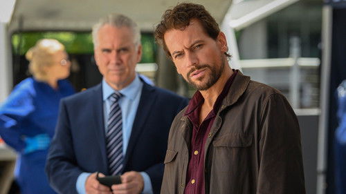 Harrow Torrent WEB-DL (2018) 1° 2° e 3° Temporada Dual Áudio e Legendado