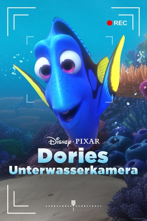 Dory's Reef Cam poster