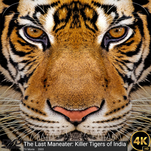 The Last Maneater: Killer Tigers of India