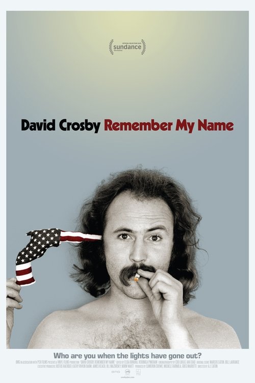 Largescale poster for David Crosby: Remember My Name