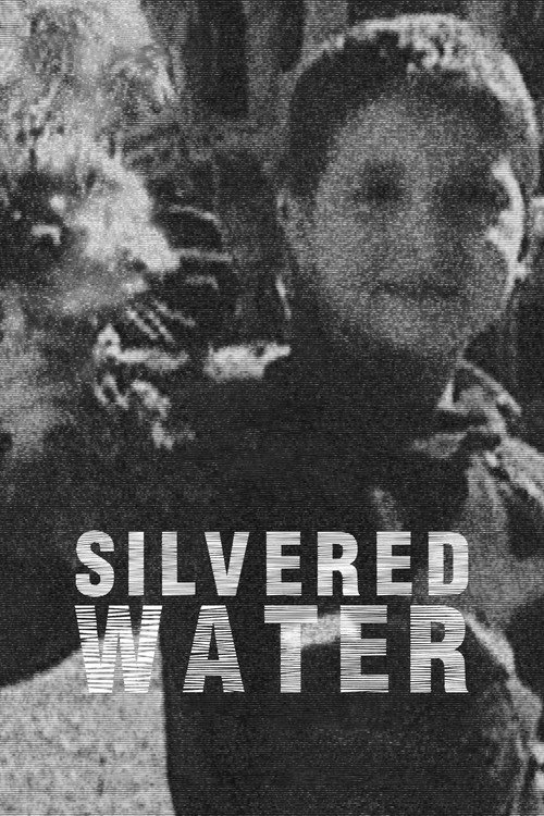 Póster oficial de Silvered Water (2014) - Documentary