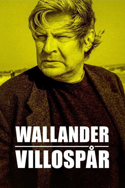 Wallander: Sidetracked - Season 1 Poster Blur