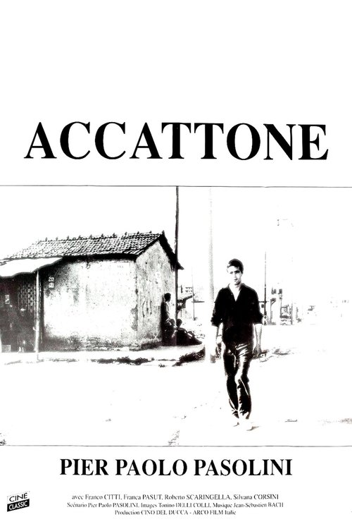 Poster image du film Accattone Accattone