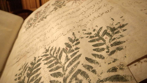 Les trésors oubliés de la médecine arabe