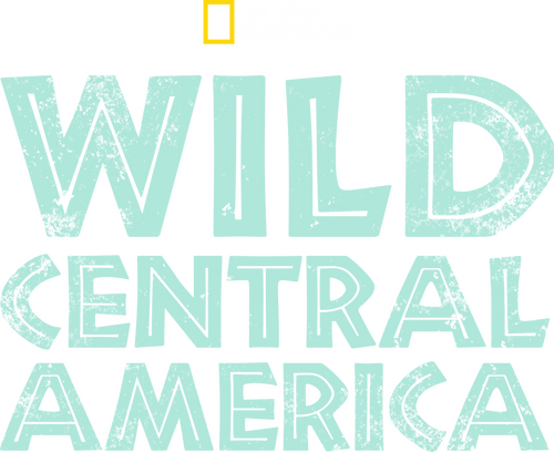 Wild Central America