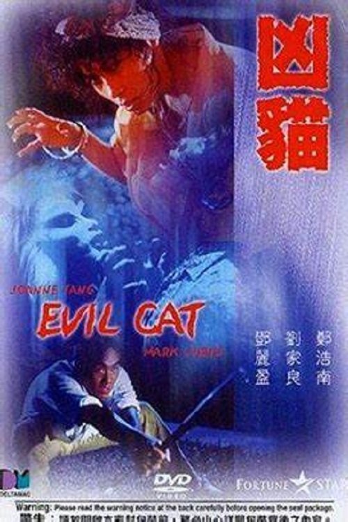 凶貓 movie poster player
