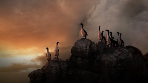 Wild Peru: Andes Battleground