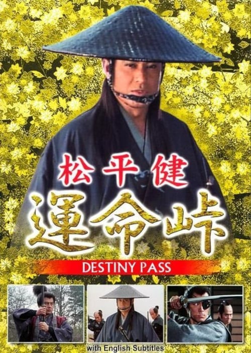 Poster Destiny Pass