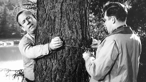 Escena del episodio 22 de la temporada 4 de la serie The Andy Griffith Show