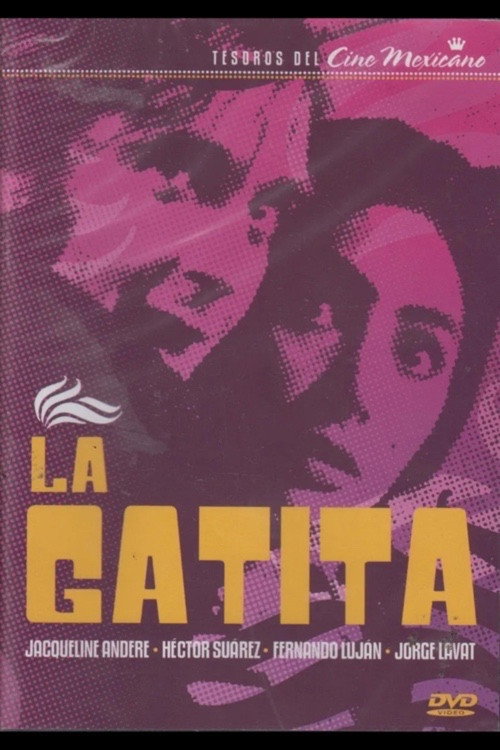 La gatita