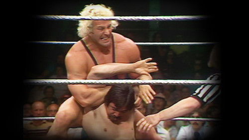 Image de l'épisode 17