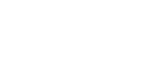 Blinky Bill the Movie