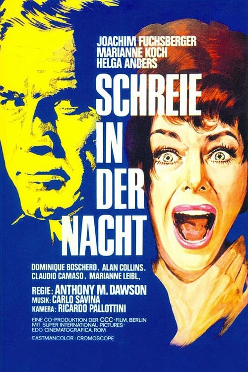 Schreie in der Nacht (1969) poster