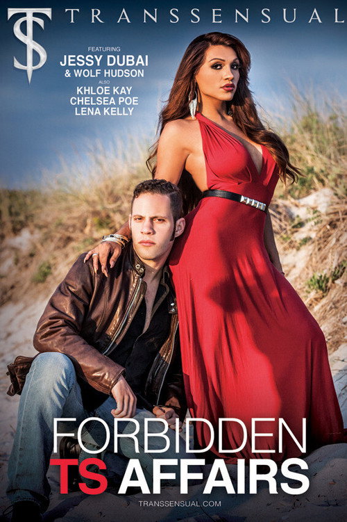 Forbidden TS Affairs poster