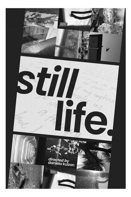 Póster oficial de still life (2021) - Drama