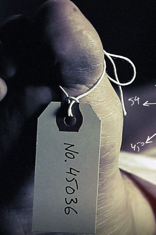 Póster oficial de Bloodwork (2011) - Crime
