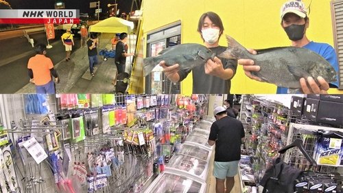 Image de l'épisode 1