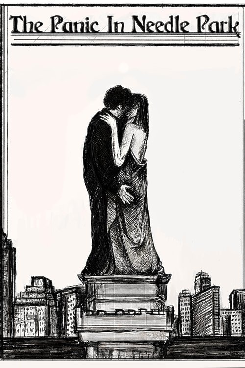 The Panic in Needle Park poster