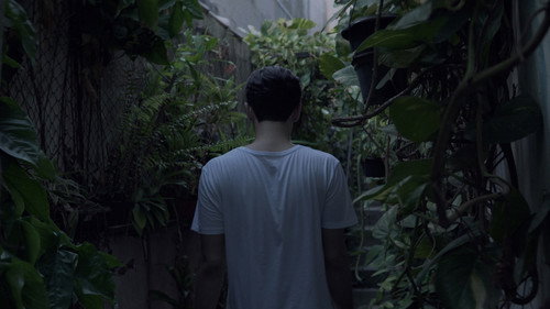 Perspectivas: Ramonn Vieitez