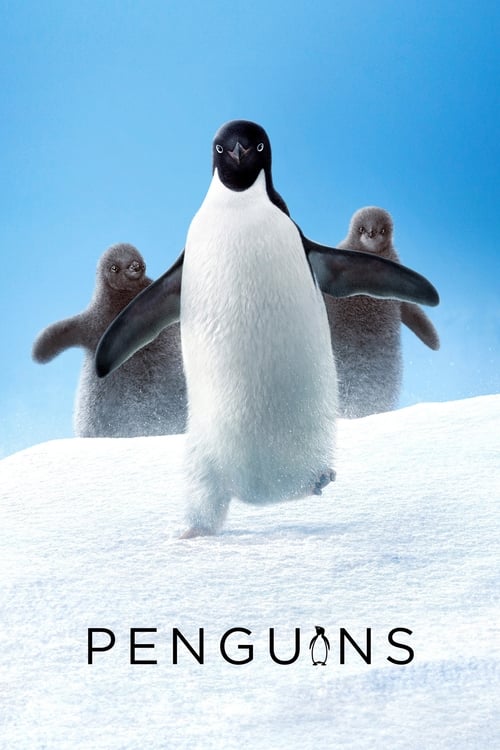 Poster. Disneynature: Penguins (2019)