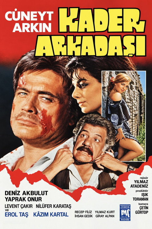 Affiche de Kader Arkadaşı