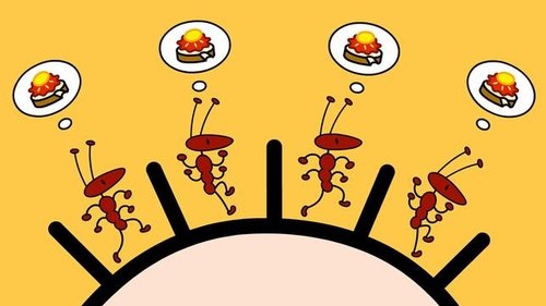 Image de l'épisode 2