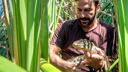 Sobrevivente Primitivo: Os Andes