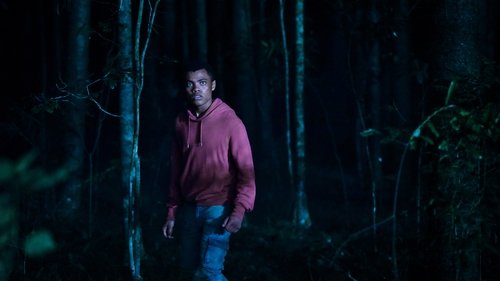 The Wilds: Vidas Selvagens: 2×3