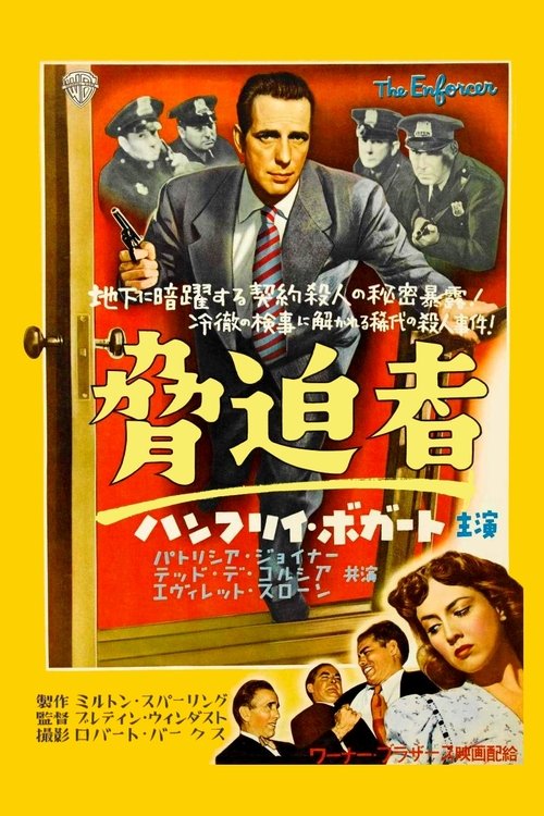 The Enforcer movie poster player