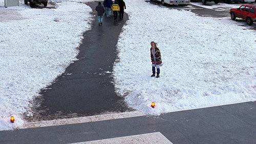 For Love of the Game