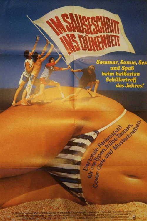 Spring Break poster
