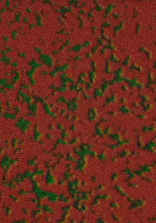 Screen still 1