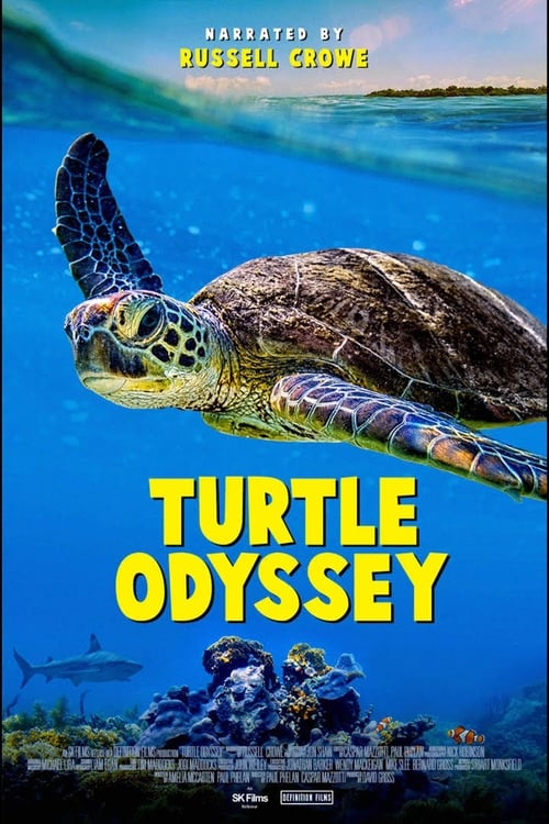 Turtle Odyssey 2018