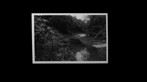 Grantham Overgrown (Infinite Regression) image 3
